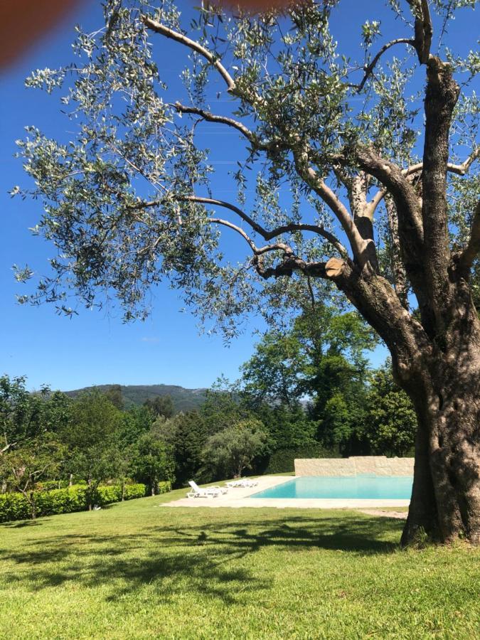 Quinta De Barbedo - Turismo Rural Canicada Exterior photo